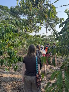 IMG_5921